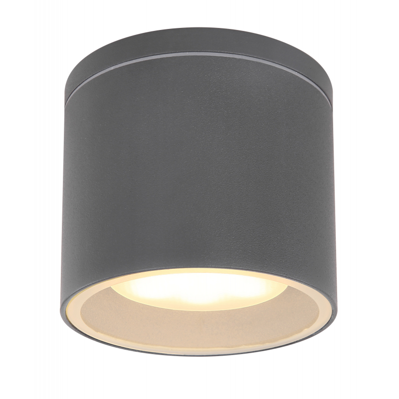 32063A ALCALA Gaismeklis pie griestiem, metāls gra...