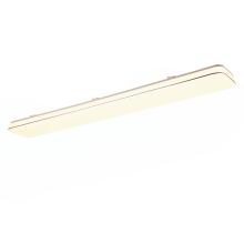 R64141401 Лампа BLANCA, белый светодиод 46Вт 5400лм 3000К Диммер SWITCH (100%50%25%) L1200mm H60mm T